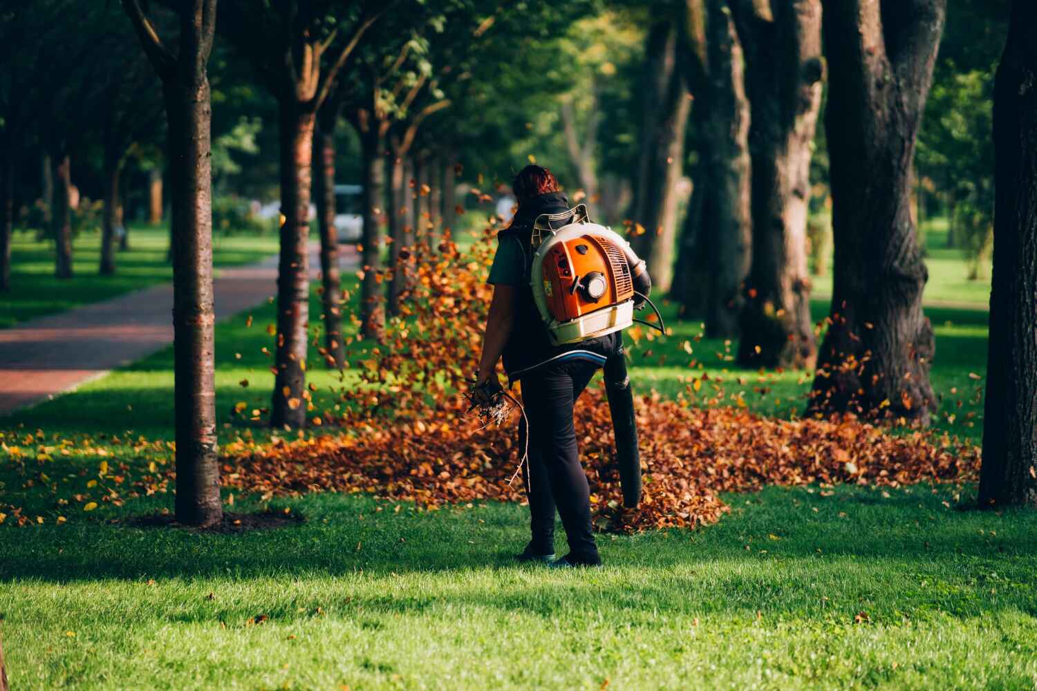 Best Tree Branch Trimming  in Charlotte Park, FL